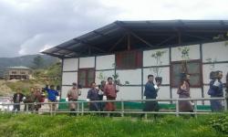 On way to plantation